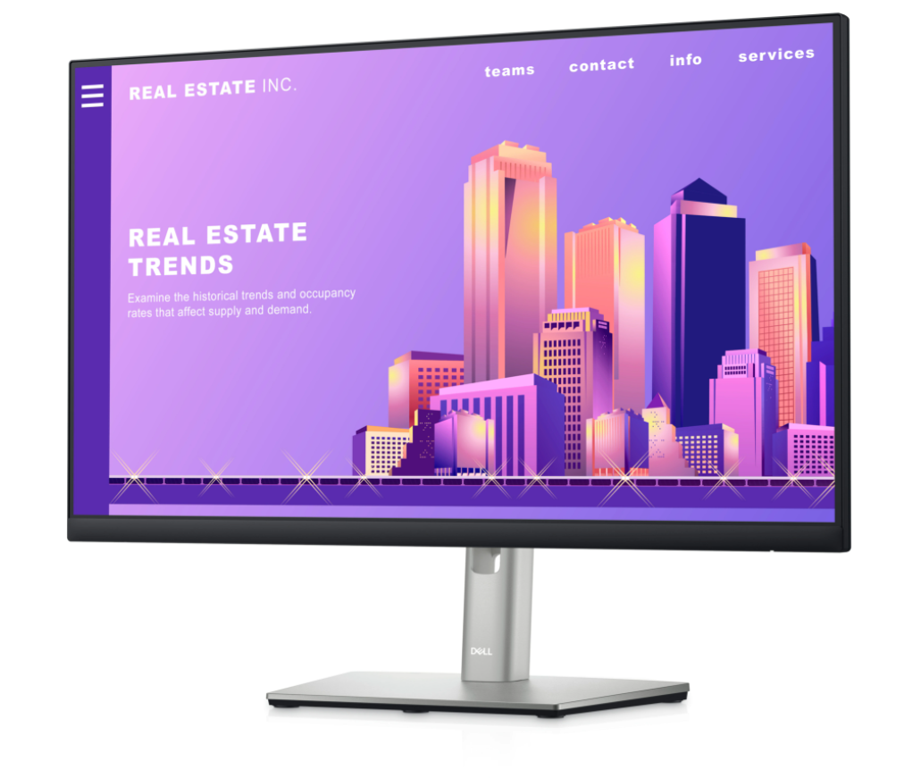 Màn hình LCD Dell P2422H