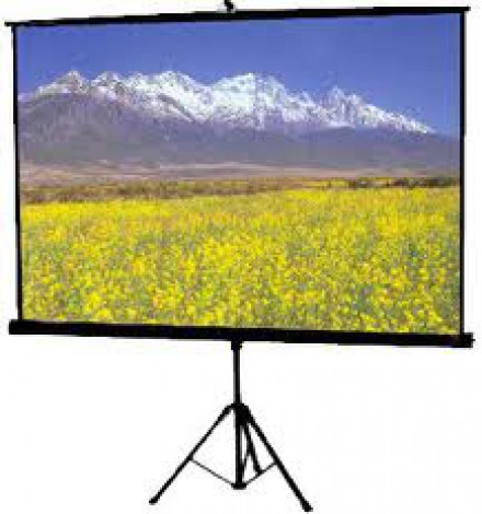 Màn Chiếu Đứng Apollo 120"