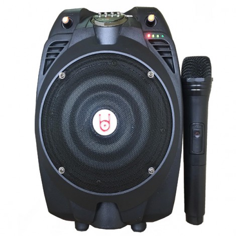 Loa kéo mini BD-H065YS (Loa+Micro UHF)