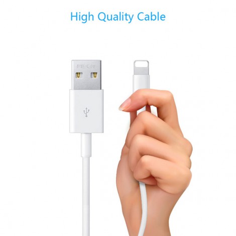 Cable Pisen Lightning(Fast) 1000mm